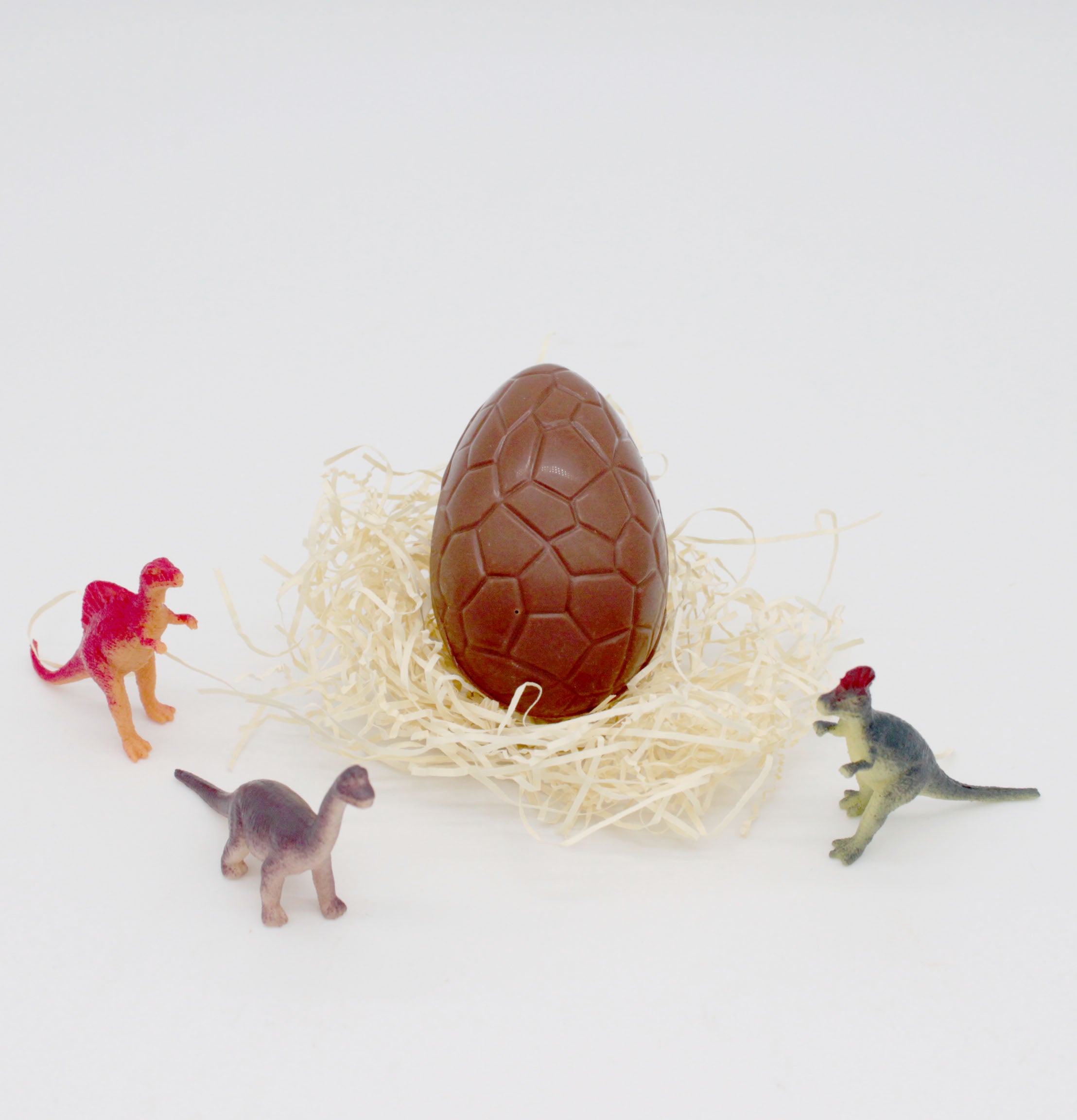 Dinosaur Egg Hatch Family Chocolates LLC